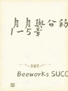 月月与公的激情1一5章