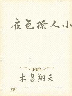 夜色撩人小说