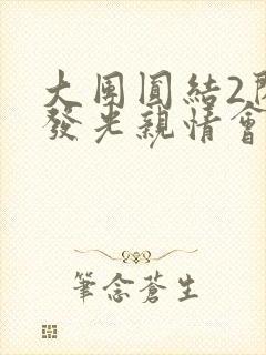 大团圆结2闪闪发光亲情会