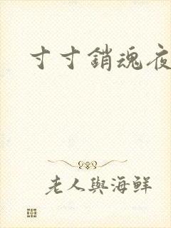 寸寸销魂夜春光