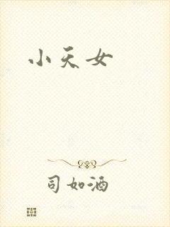 小天女封面