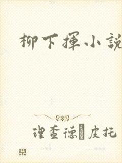 柳下挥小说封面