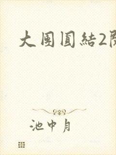 大团圆结2阅读