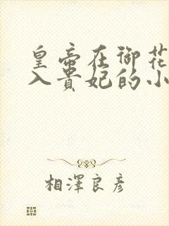 皇帝在御花园进入贵妃的小说