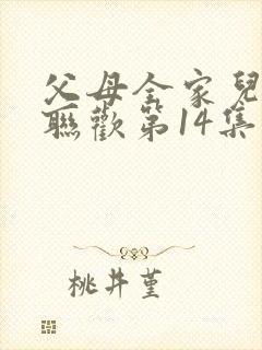 父母全家儿女大联欢第14集