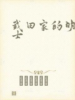 武田家的明国武士