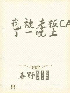 我被老板CAO了一晚上