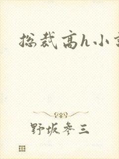 总裁高h小说封面