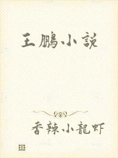 王鹏小说