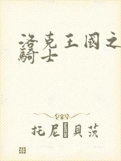 洛克王国之圣龙骑士封面