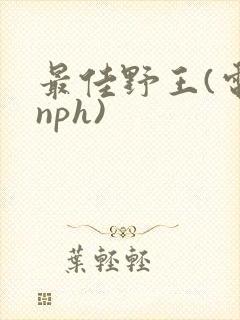 最佳野王(电竞nph)