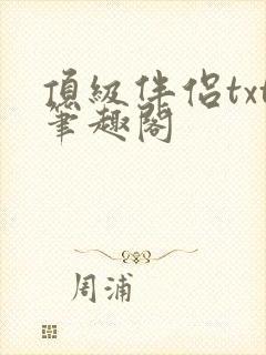 顶级伴侣txt笔趣阁