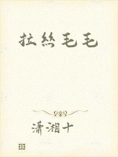 拉丝毛毛