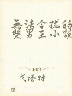 无法合拢的总裁双男主小说