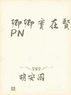 卿卿实在贤良NPN