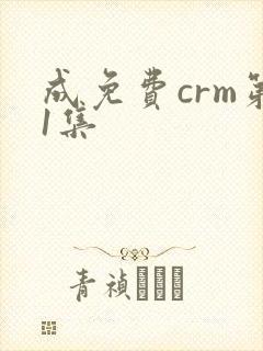 成免费crm第1集封面