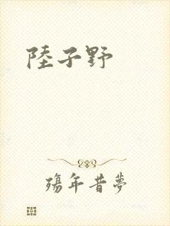 陆子野封面