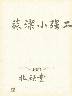 苏洁小强工地情