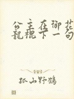 公主在御花园吃龙棍下一句