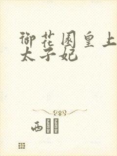 御花园皇上撞着太子妃