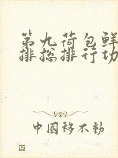 第九荷包鲜辣肉排总排行功能介绍