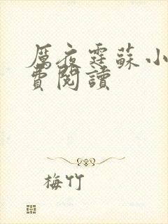 厉夜霆苏小汐免费阅读