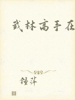 武林高手在异界