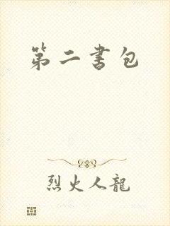 第二书包封面