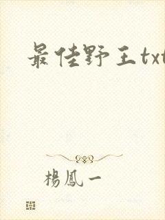 最佳野王txt封面