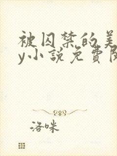 被囚禁的美人by小说免费阅读