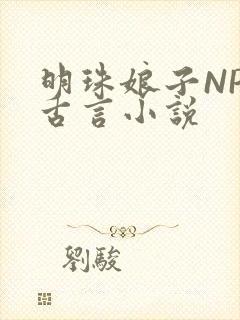 明珠娘子NPC古言小说