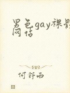 男色gay裸体网站