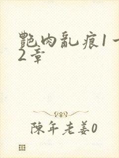 艳肉乱痕1一12章封面