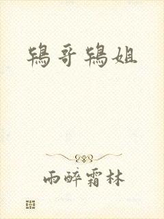鸨哥鸨姐