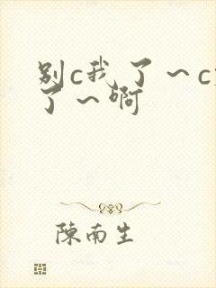 别c我了～c烂了～啊封面