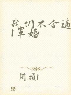 我们不合适1v1军婚