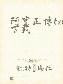 阿宾正传txt下载
