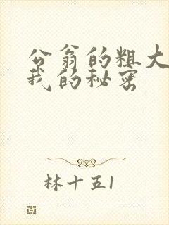 公翁的粗大放进我的秘密