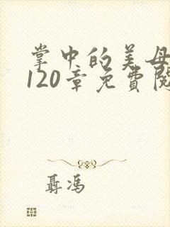 掌中的美母版主120章免费阅读