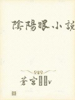 阴阳眼小说封面