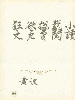 狂欲总裁小说全文免费阅读