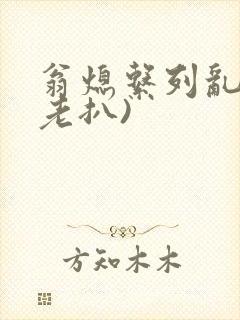 翁熄系列乱 (老扒)封面