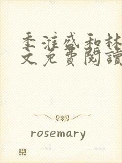 季淮盛和林栀全文免费阅读