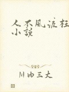 人不风流枉少年小说
