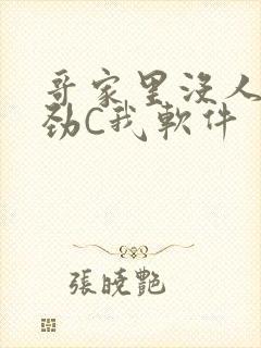 哥家里没人使点劲C我软件