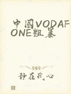 中国VODAFONE粗暴