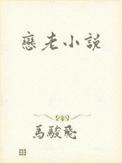 恋老小说
