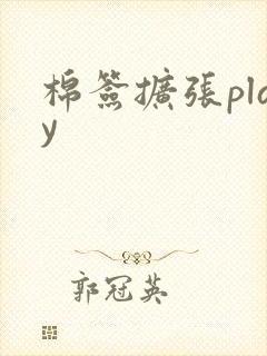 棉签扩张play封面