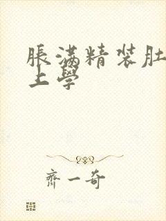 胀满精装肚子去上学封面