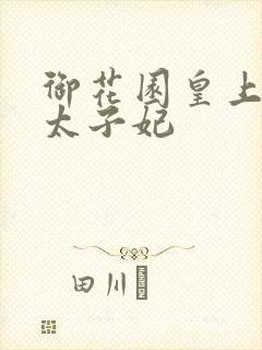 御花园皇上撞着太子妃